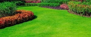 lawn aeration, lawn care, lawn aeration services