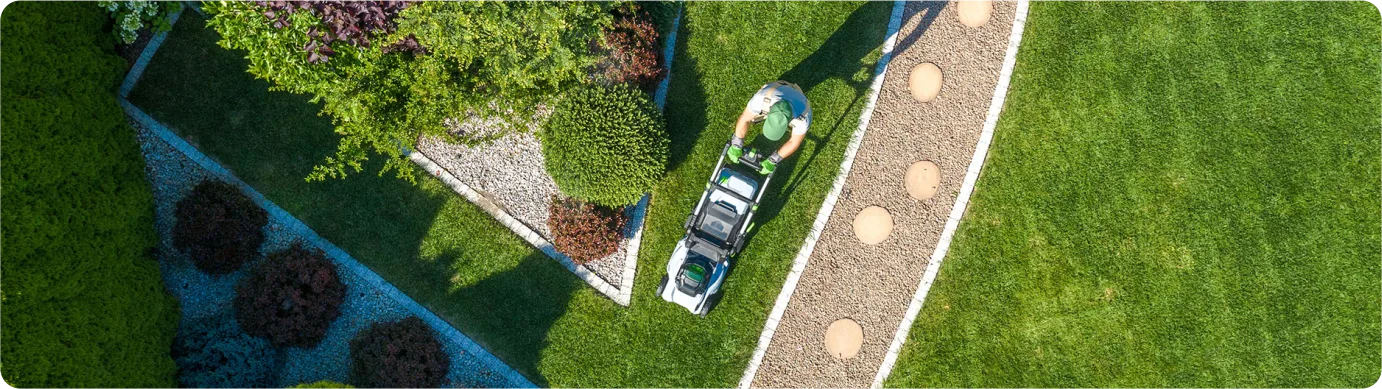 professional garden services, gardening Gardening