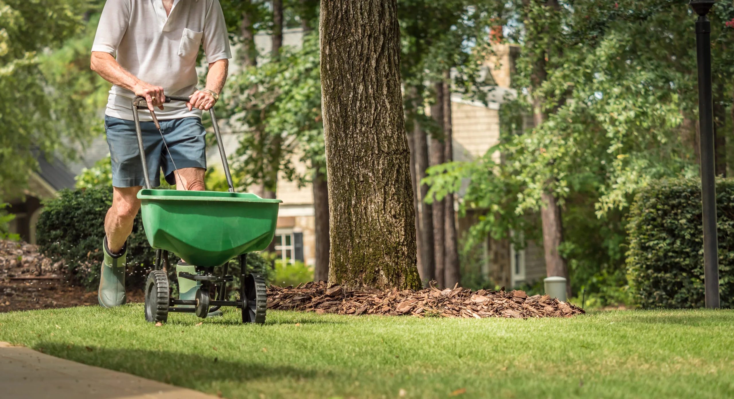 Lawn Care,Fertilizing,Lawn,Grass Seeding