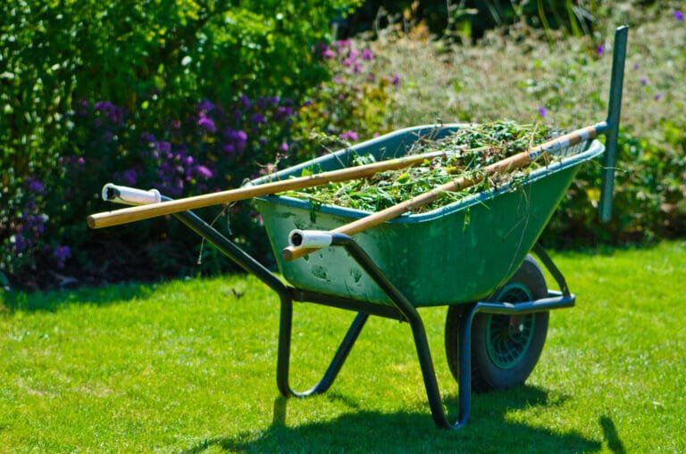 Garden Maintenance