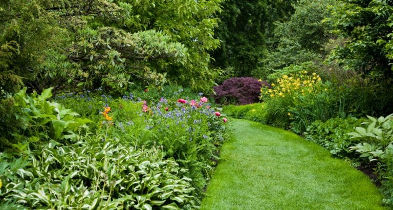 Lush green botanical garden, blooming spring flowers and lawn