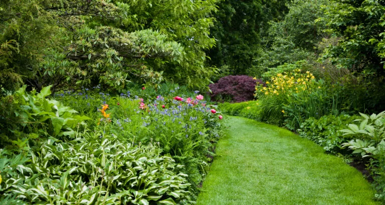 Lush green botanical garden, blooming spring flowers and lawn