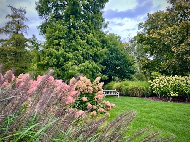 hydrangea grass garden view 1