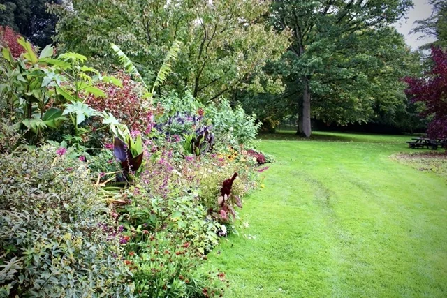 naturalistic flower border lawn 1