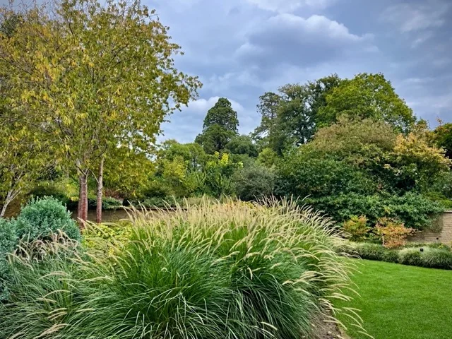 ornamental grass autumn garden 1