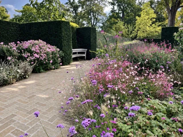 pink perennial garden path