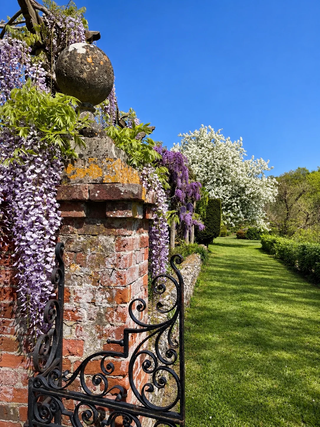 wisteria covered brick garden gate 1